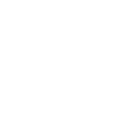 chatbot
